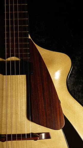 Handmade archtop cocobolo finger rest benedetto pickup