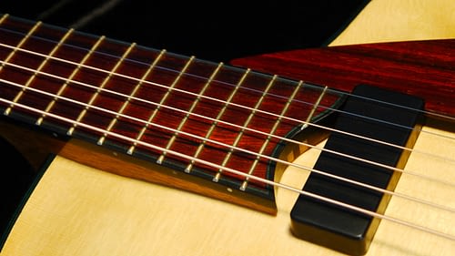 cocobolo fingerboard with ebony binding handmade archtop guitar
